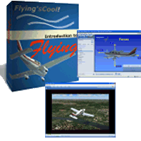 Flying'sCool!'s eLearning Store